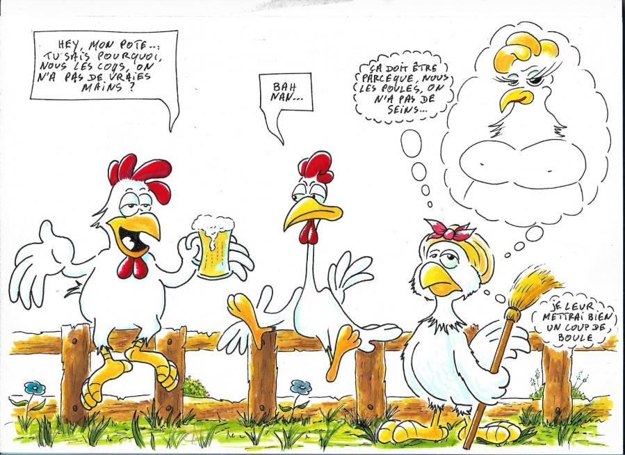 Zoologie cg
